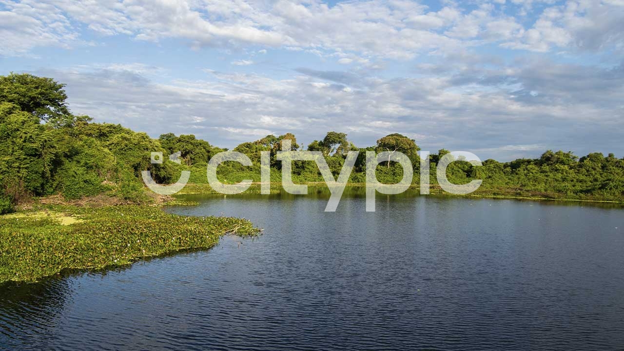 Vista do pantanal brasileiro da cidade de Bonito de Mato Grosso do Sul