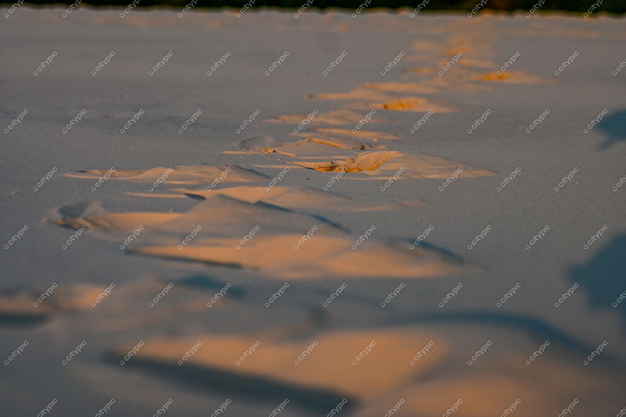 Pegadas ao entardecer: Trilha na areia de Lagoa, Florianópolis, Santa Catarina, Brasil