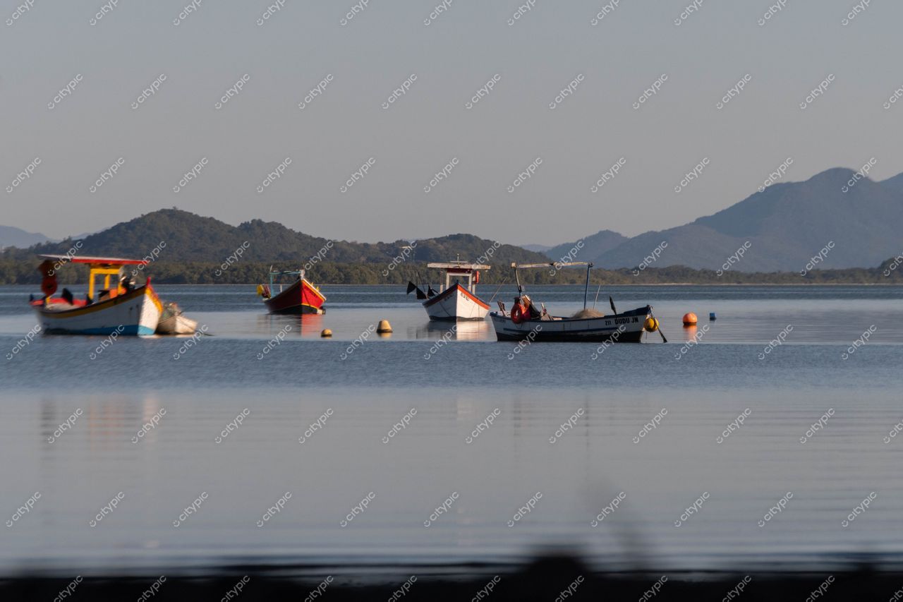 Costeira do Pirajubaé: Barcos de pescadores em harmonia com a natureza em Florianópolis, Santa Catarina, Brasil