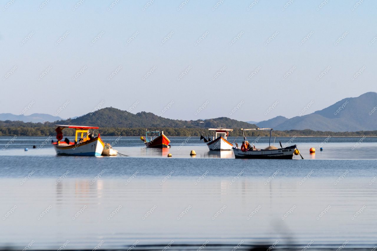 Costeira do Pirajubaé em Florianópolis: Embarcações coloridas em águas calmas e montanhas ao fundo