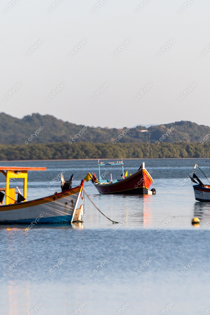 Costeira do Pirajubaé: Barcos Coloridos em Florianópolis, Santa Catarina