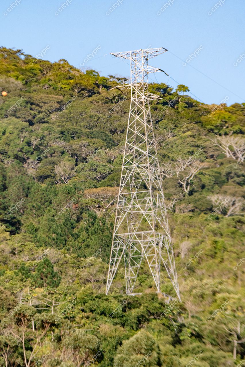 Torre de transmissão elétrica em meio à vegetação exuberante de Costeira do Pirajubaé, Florianópolis, Santa Catarina: a interseção entre tecnologia e natureza