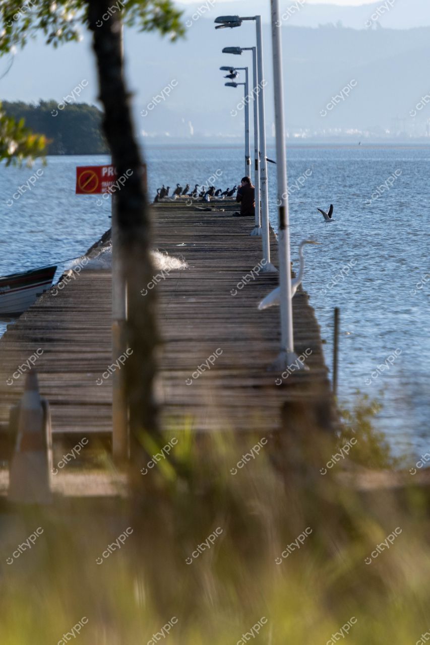Costeira do Pirajubaé em Florianópolis: Pier de madeira e serenidade na natureza