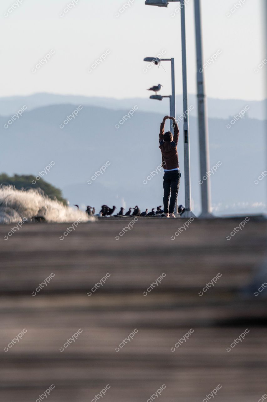 Costeira do Pirajubaé, Florianópolis: Interação entre o homem e a natureza