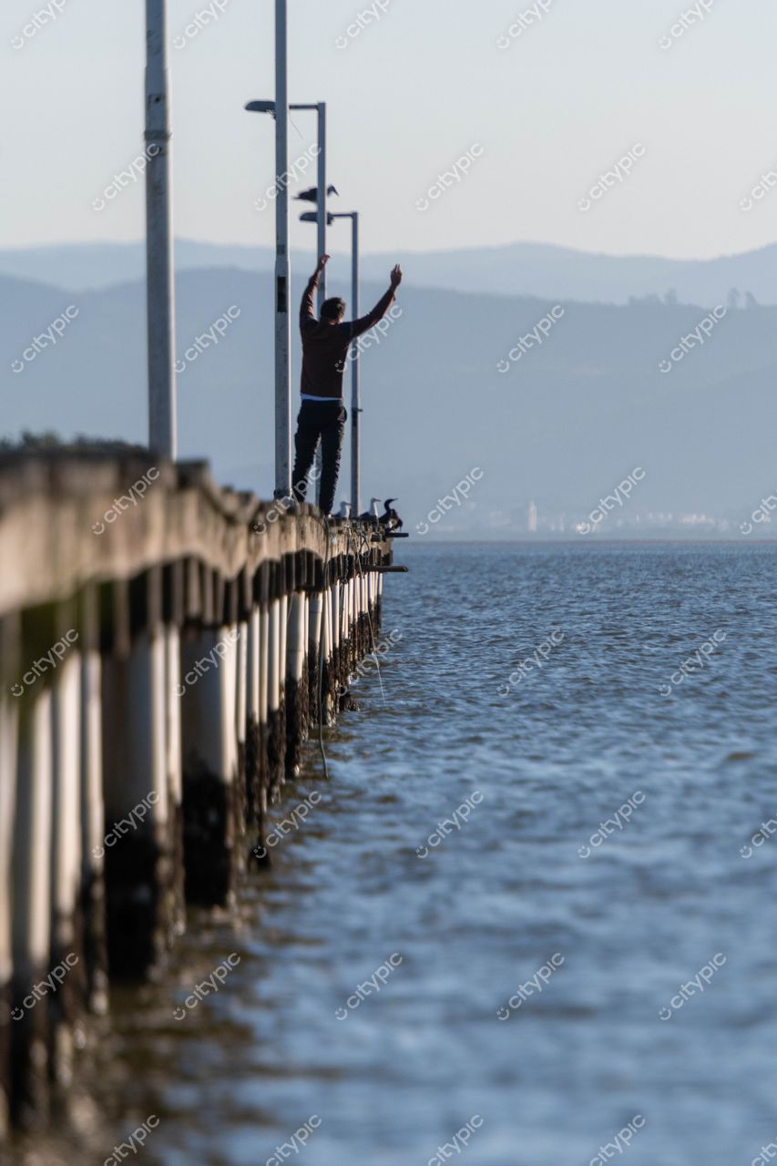 Costeira do Pirajubaé, Florianópolis: Celebração e Liberdade na Natureza Serena
