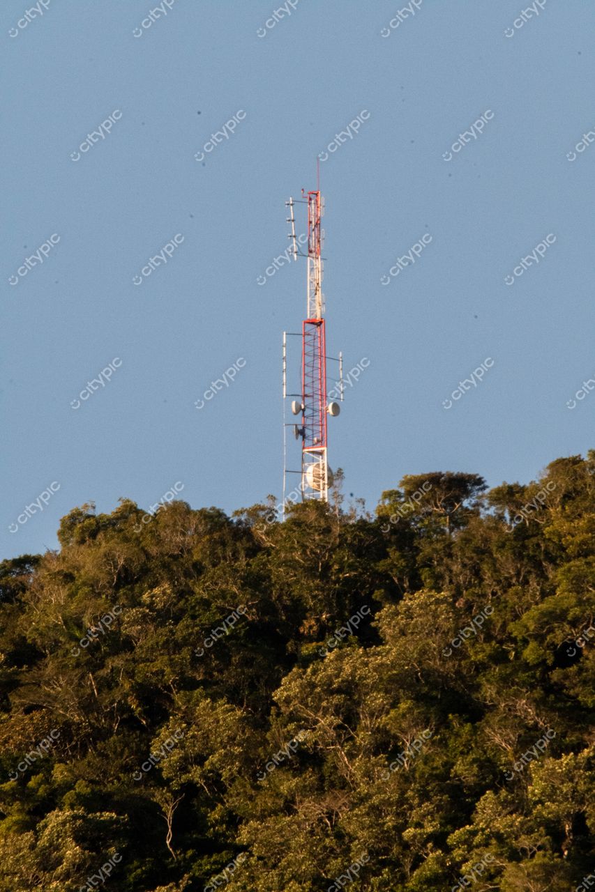 Torre de Telecomunicações na Costeira do Pirajubaé em Florianópolis: Conectividade entre infraestrutura e natureza