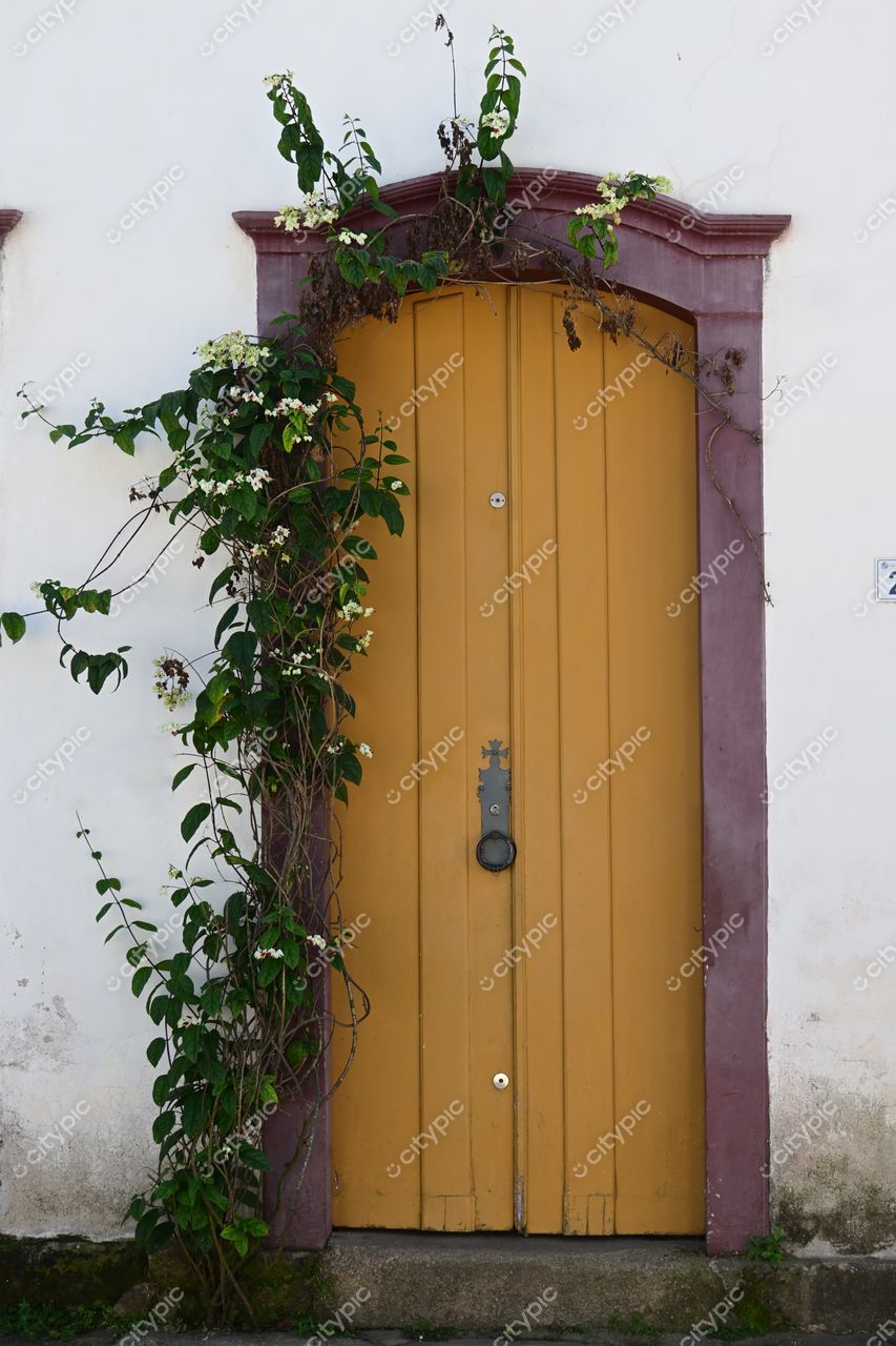 Paraty, Rio de Janeiro: Porta Amarela e Flores Brancas – O Charme Colonial em Detalhes