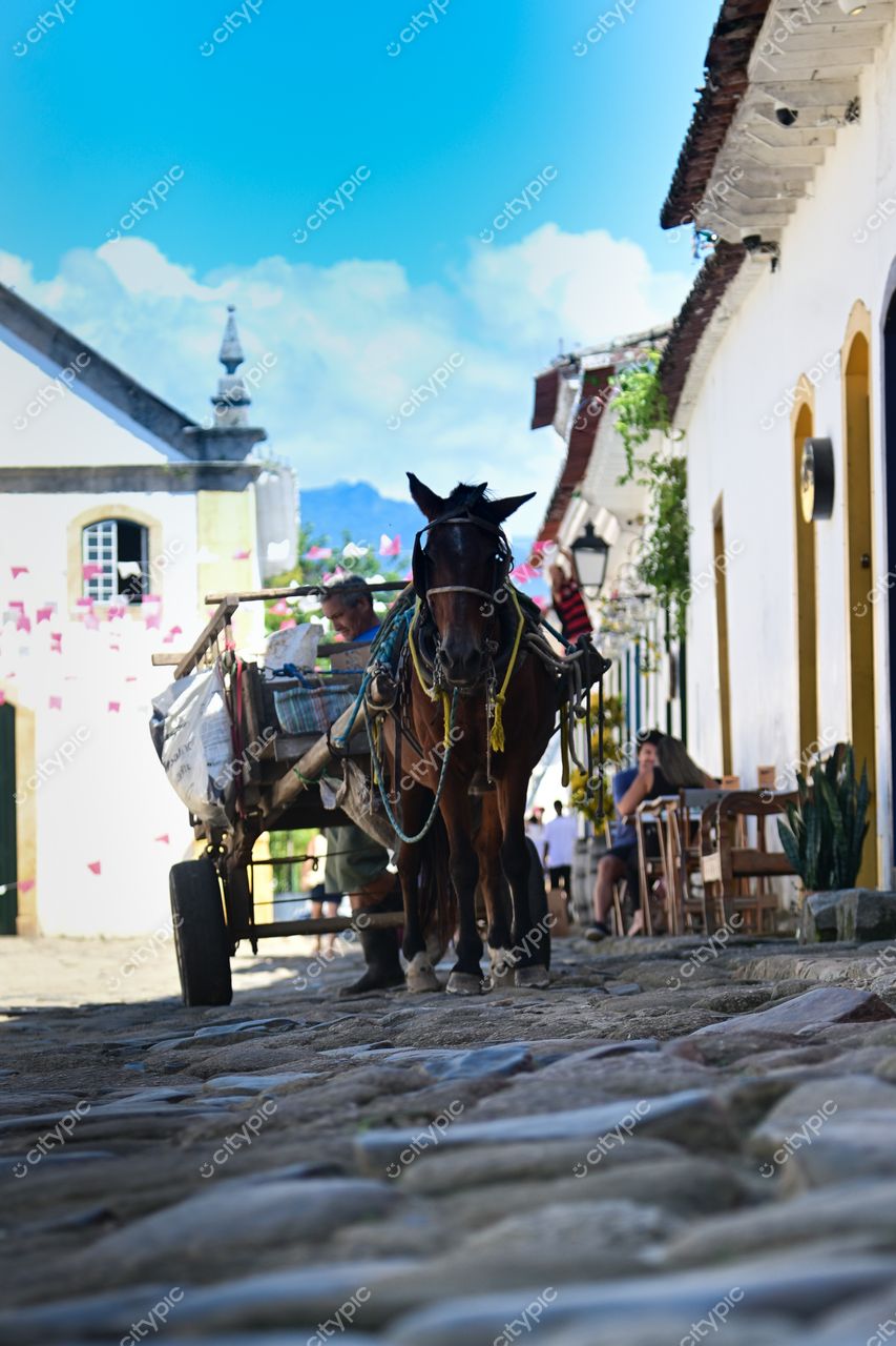 Paraty, Rio de Janeiro: Cena pitoresca de um cavalo puxando uma carroça em meio à arquitetura colonial