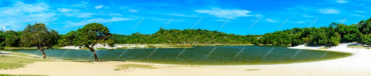 Lago de Abaeté: A serenidade da natureza em Salvador, Bahia