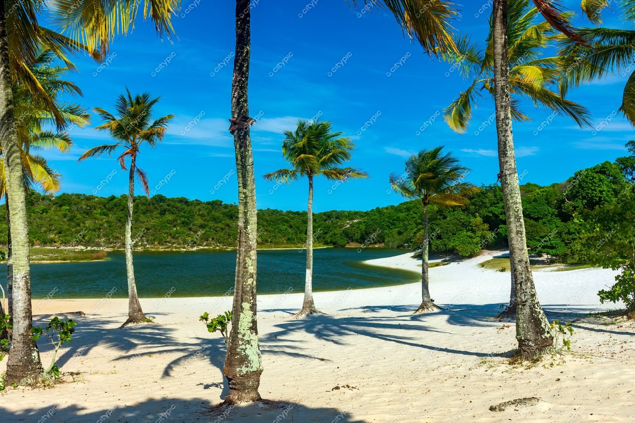 Abaeté: a praia paradisíaca de Salvador, Bahia