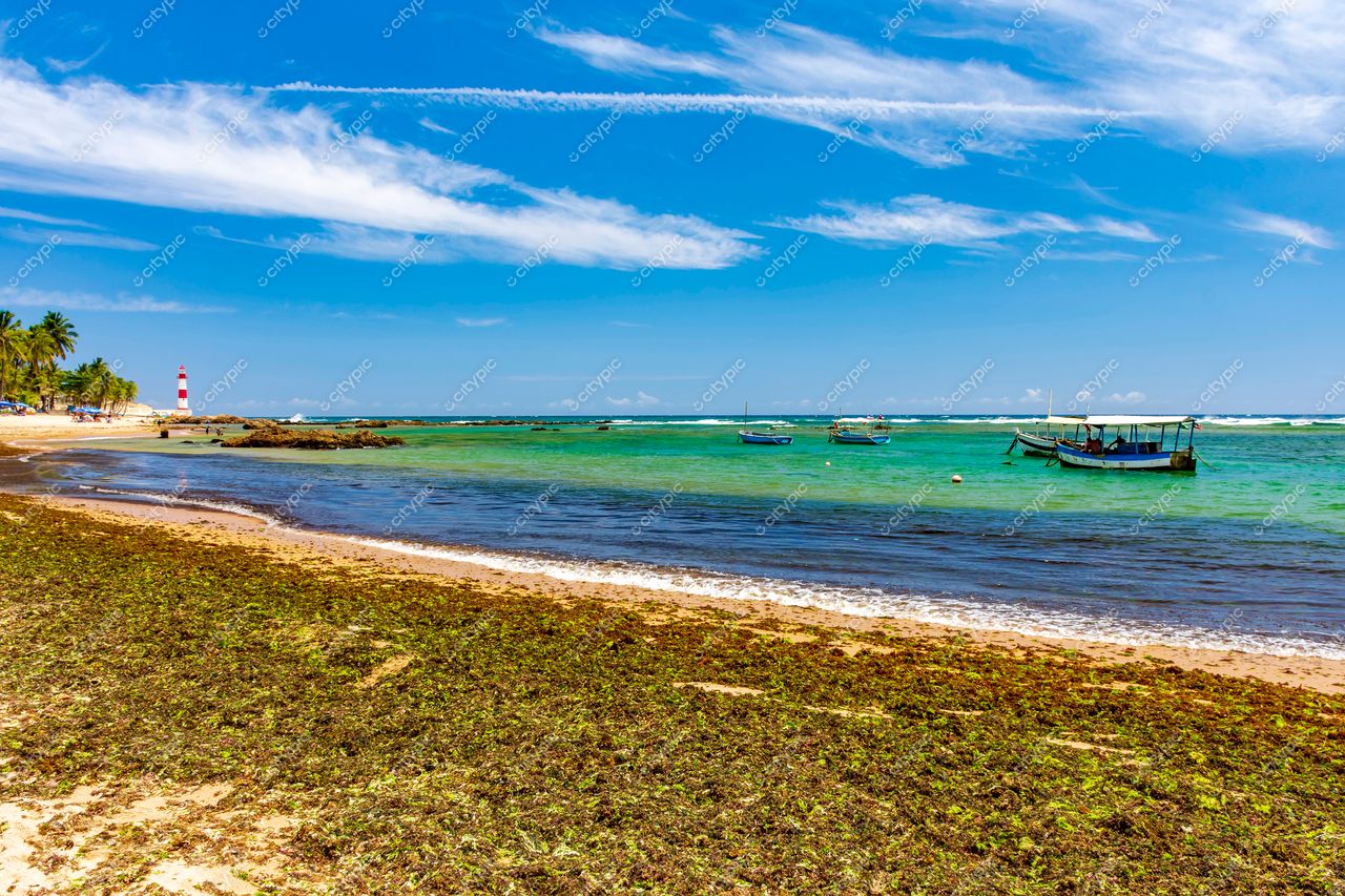 Itapuã, Salvador: Serenidade e Beleza Natural na Costa Baiana