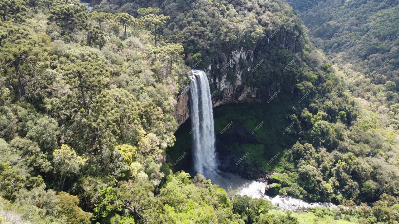 Canela, Rio Grande do Sul: A majestosa cachoeira em meio à exuberante vegetação da Serra Gaúcha