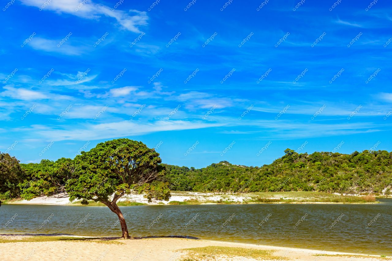 Abaeté: Serenidade e Beleza Natural em Salvador, Bahia, Brasil
