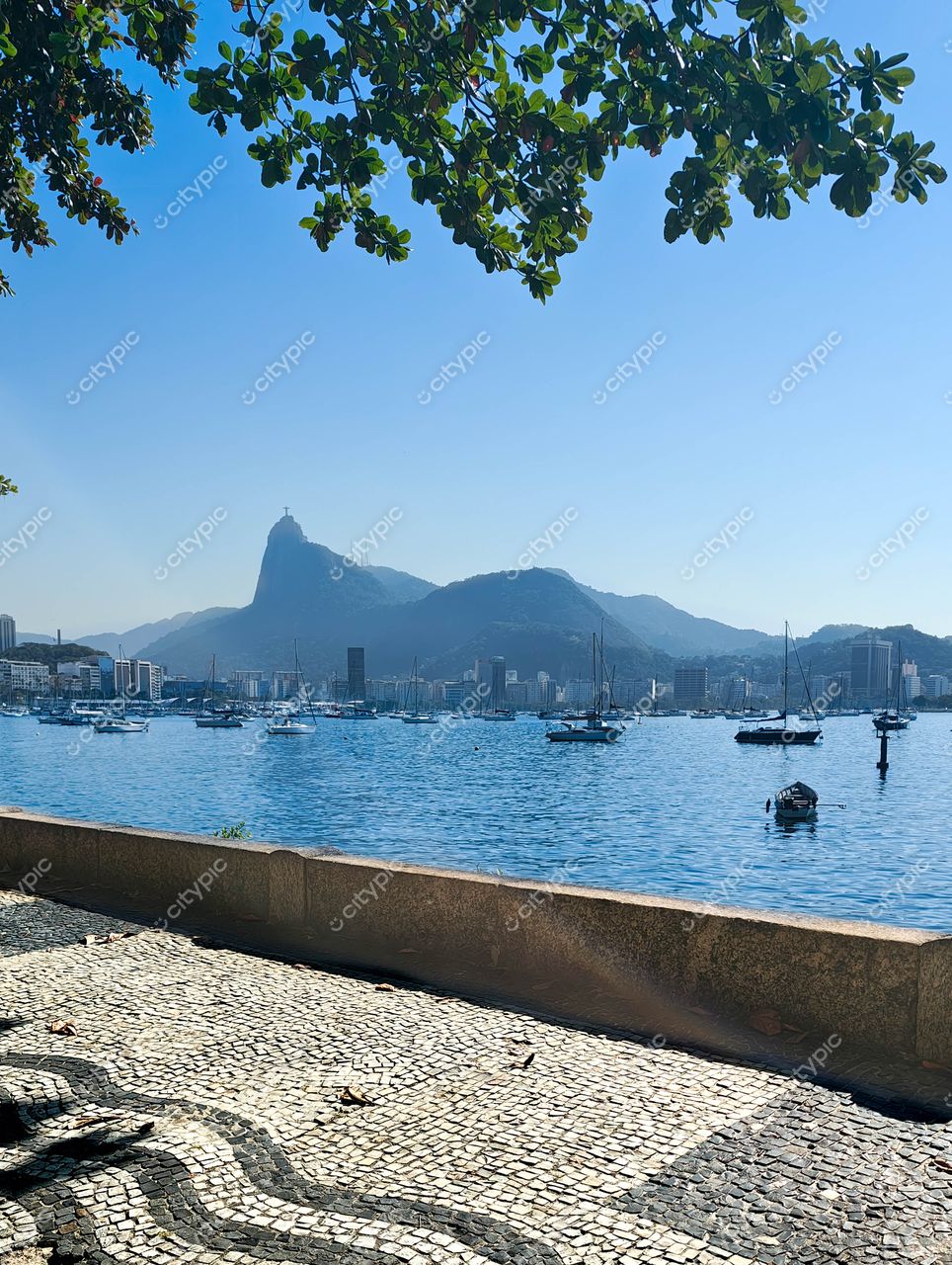 Flamengo, Rio de Janeiro: Vista panorâmica da Baía de Guanabara com o Pão de Açúcar ao fundo