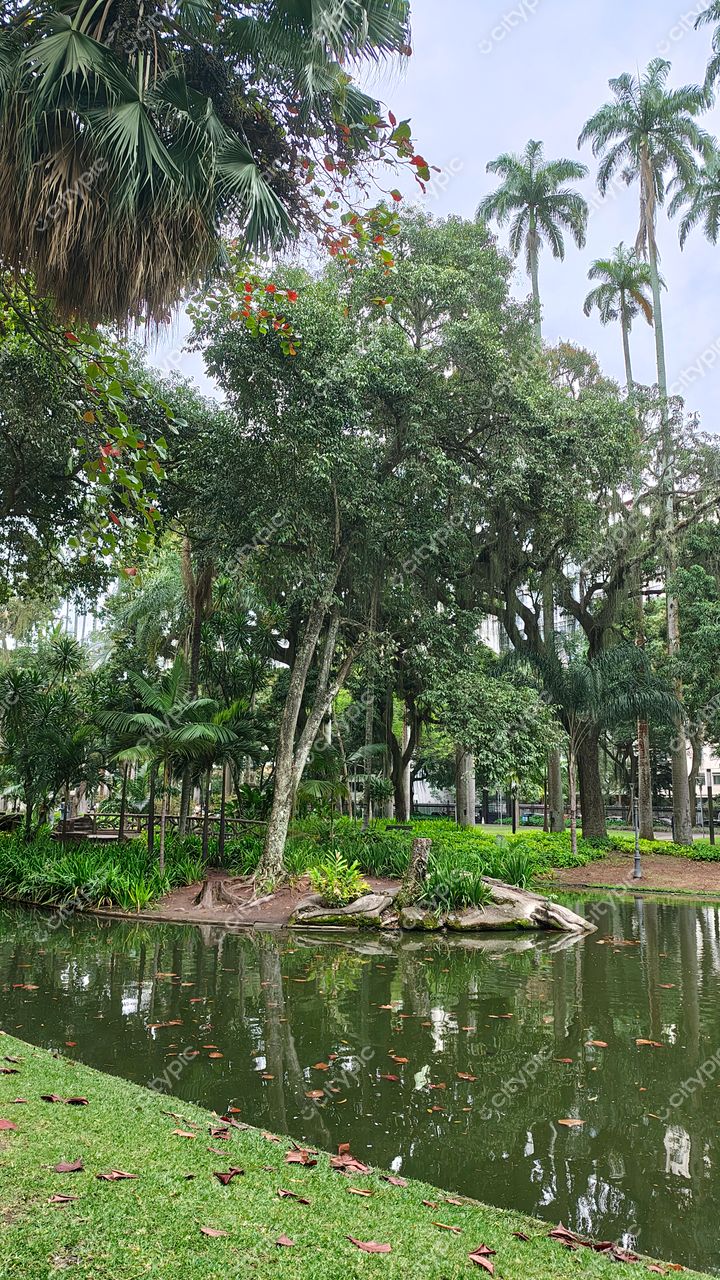 Parque do Catete: Serenidade em meio à natureza no Rio de Janeiro, Brasil
