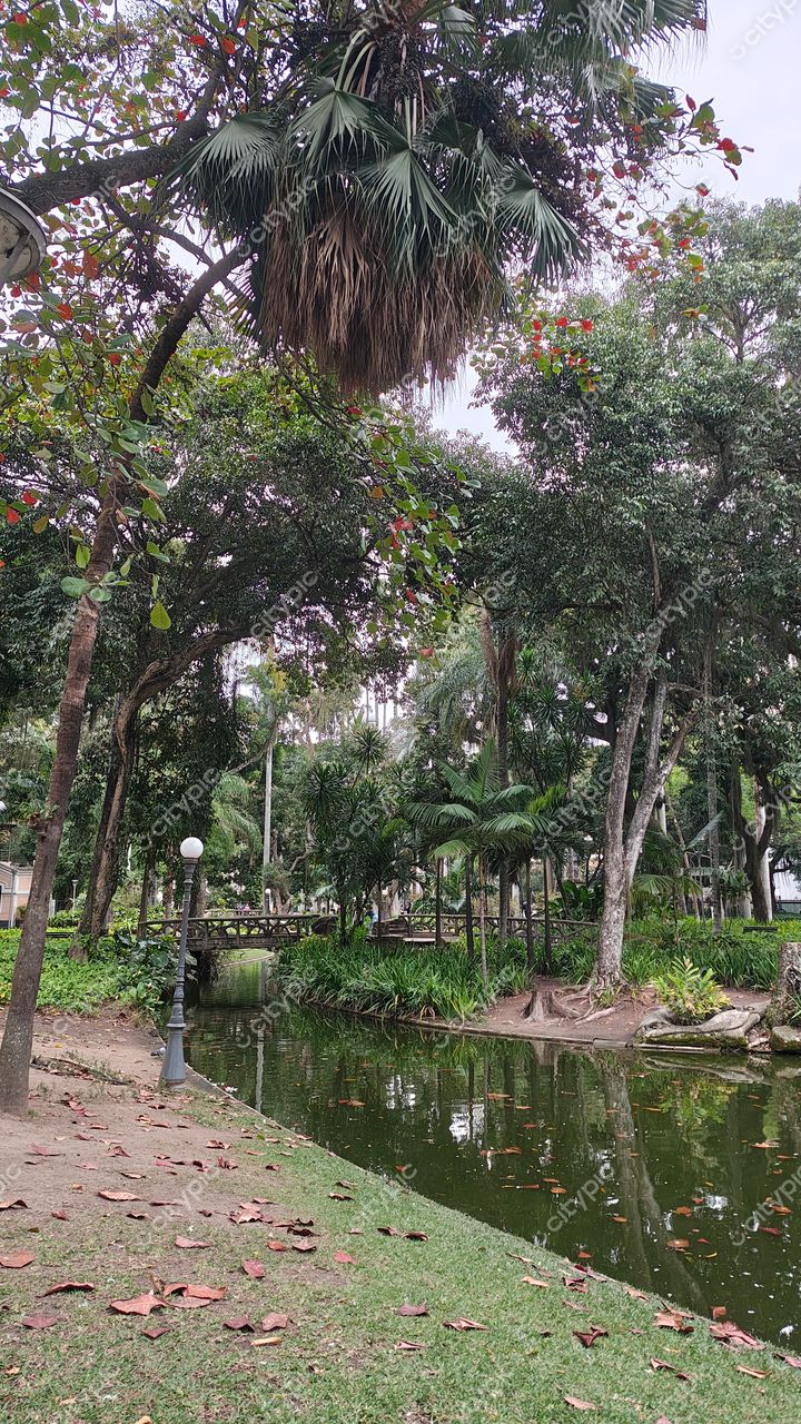 Parque Tropical em Catete, Rio de Janeiro: Um Refúgio de Tranquilidade e Beleza Natural