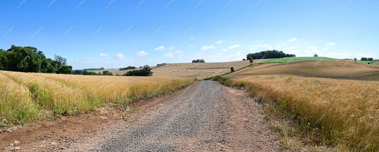 Casca, Rio Grande do Sul: Paisagem rural de tranquilidade e serenidade