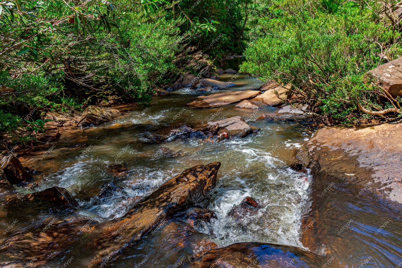 Riacho serpenteante: a beleza da natureza em tons vibrantes