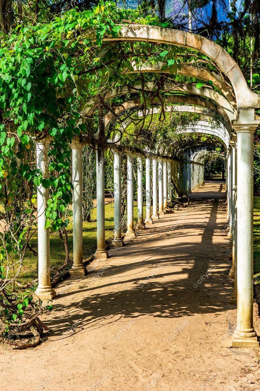 Jardim Botânico do Rio de Janeiro: Corredor de Arcos de Madeira em Meio à Natureza Exuberante