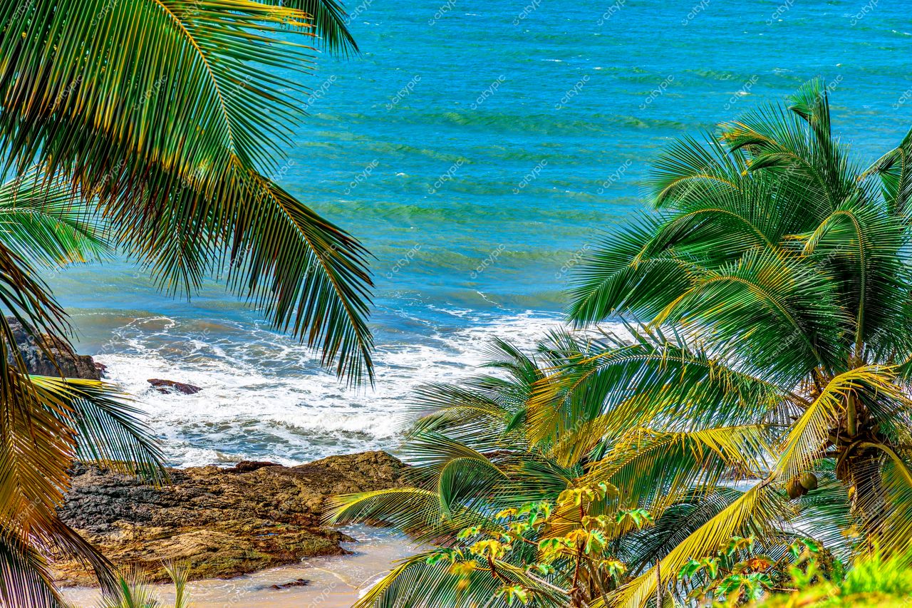 Uruçuca, Bahia: A beleza tropical emoldurada pelas palmeiras e o mar azul