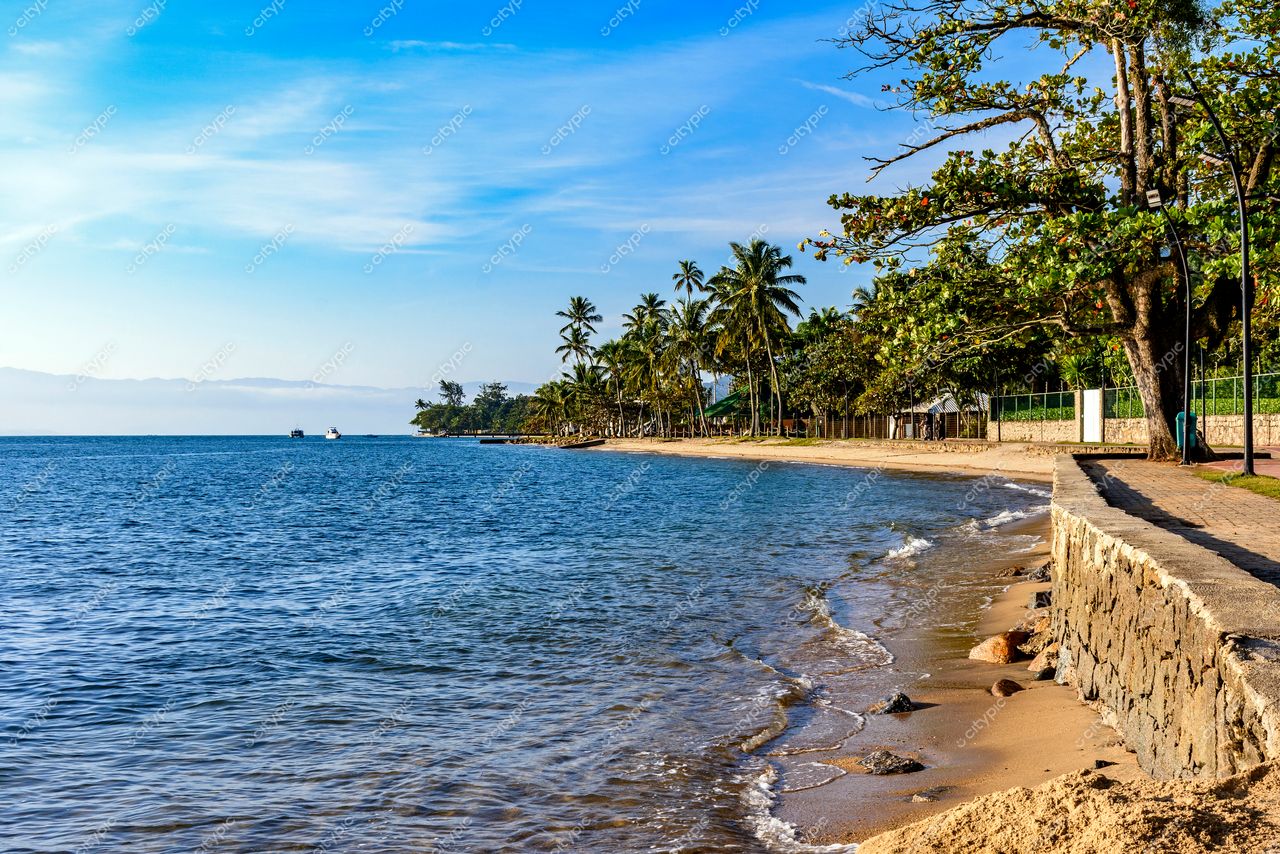 Praia Tranquila em Ilhabela: Mar Azul, Palmeiras e Embarcações ao Longe