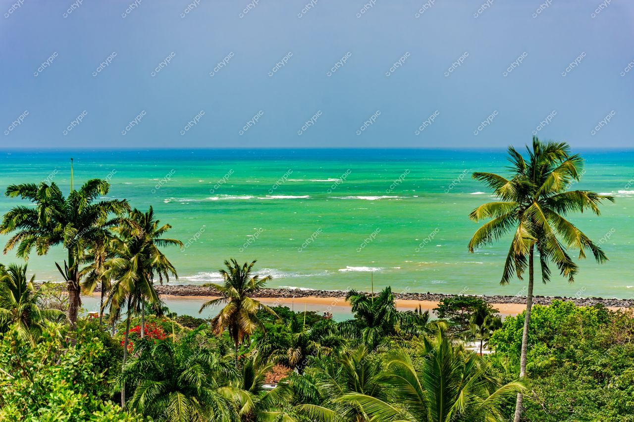 Paisagem Costeira em Olinda, Pernambuco: O Paraíso Tropical do Nordeste Brasileiro