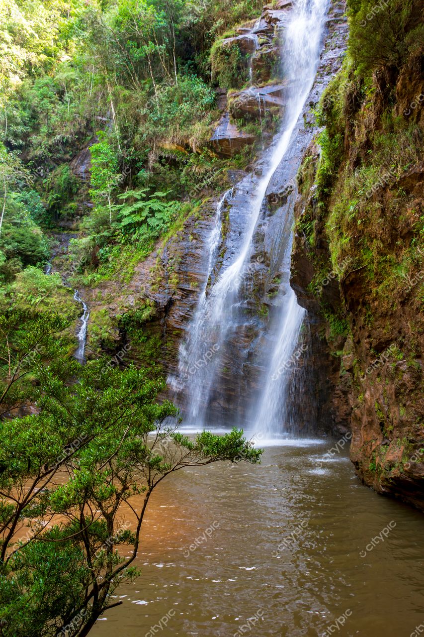 Oásis de tranquilidade: a beleza da cascata em meio à exuberante vegetação
