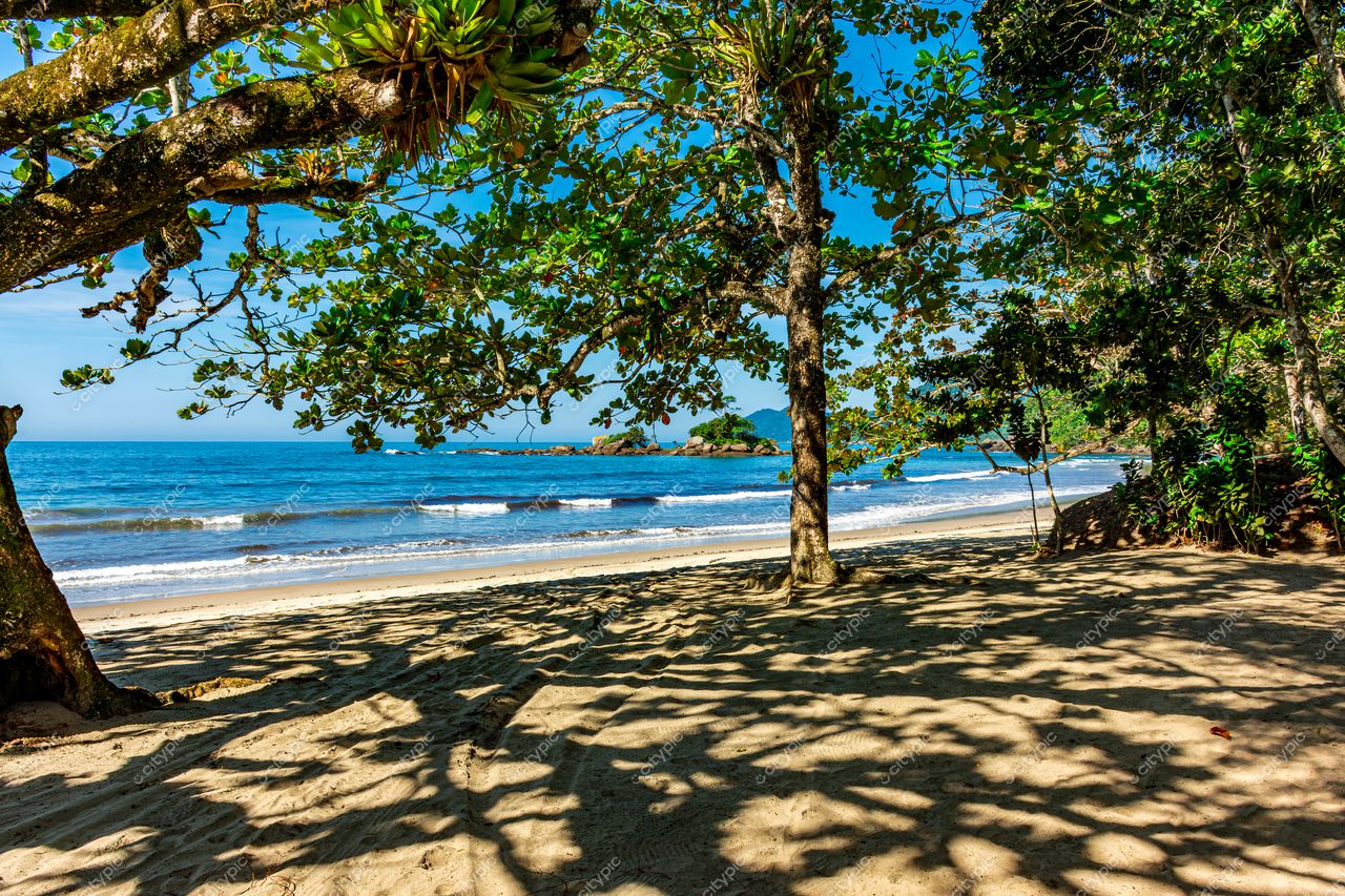 Praia Tranquila em Ilhabela: Oásis de Beleza Natural no Litoral de São Paulo