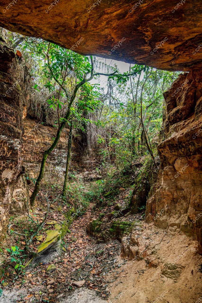 Ouro Preto, Minas Gerais: Caminho entre rochas e vegetação exuberante