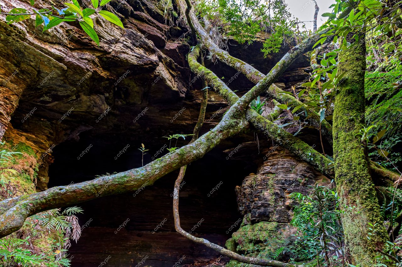 Carrancas, Minas Gerais: A exuberância da natureza intocada
