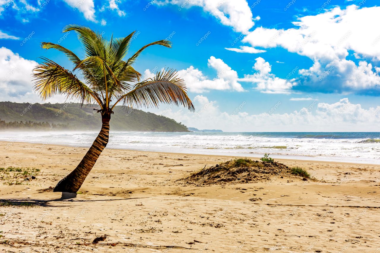 Uruçuca, Bahia: Paraíso Tropical à Beira-Mar