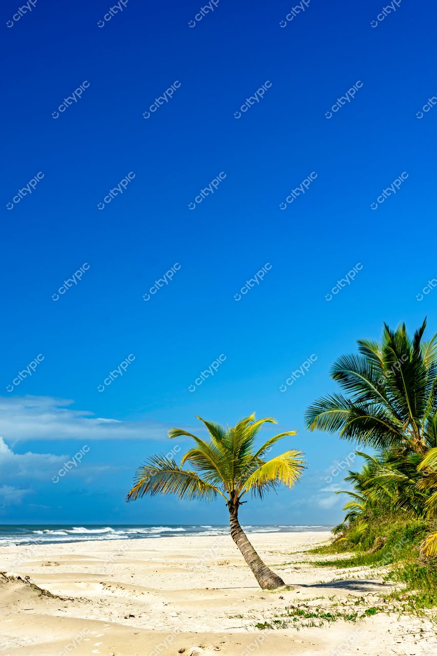 Uruçuca, Bahia: Paraíso Tropical à Beira-Mar