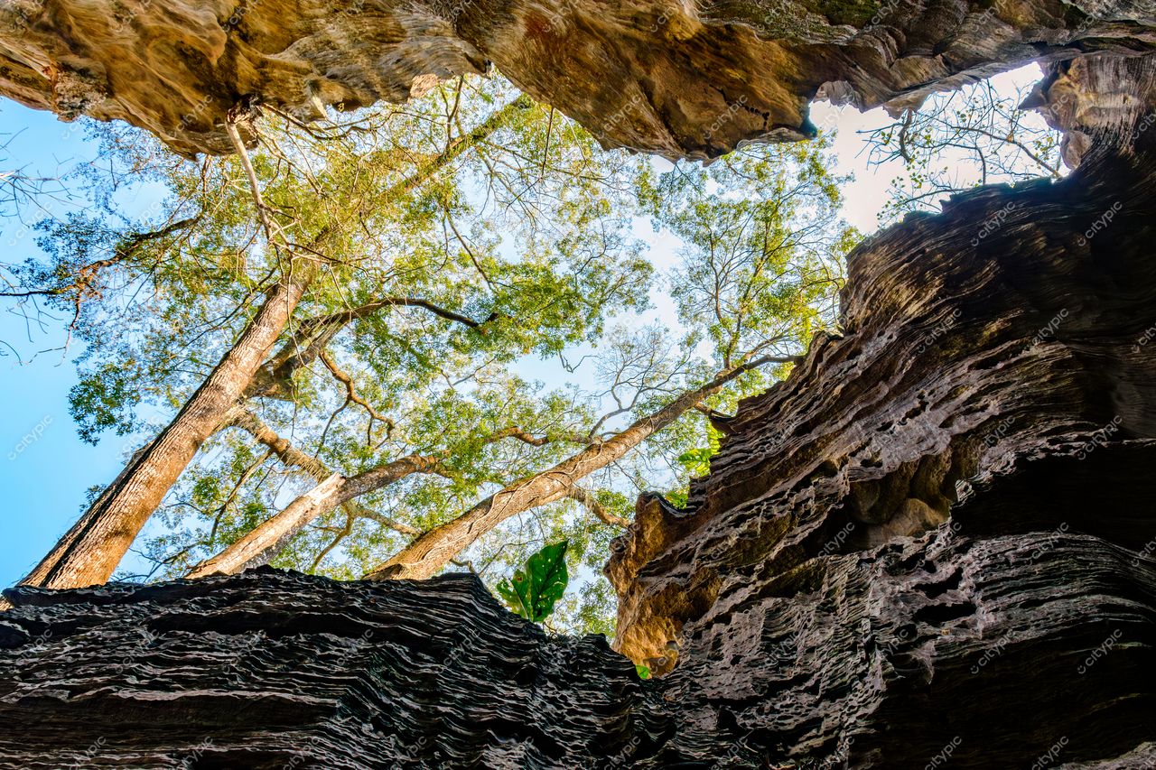 Lagoa Santa, Minas Gerais: A beleza misteriosa das formações rochosas e vegetação exuberante