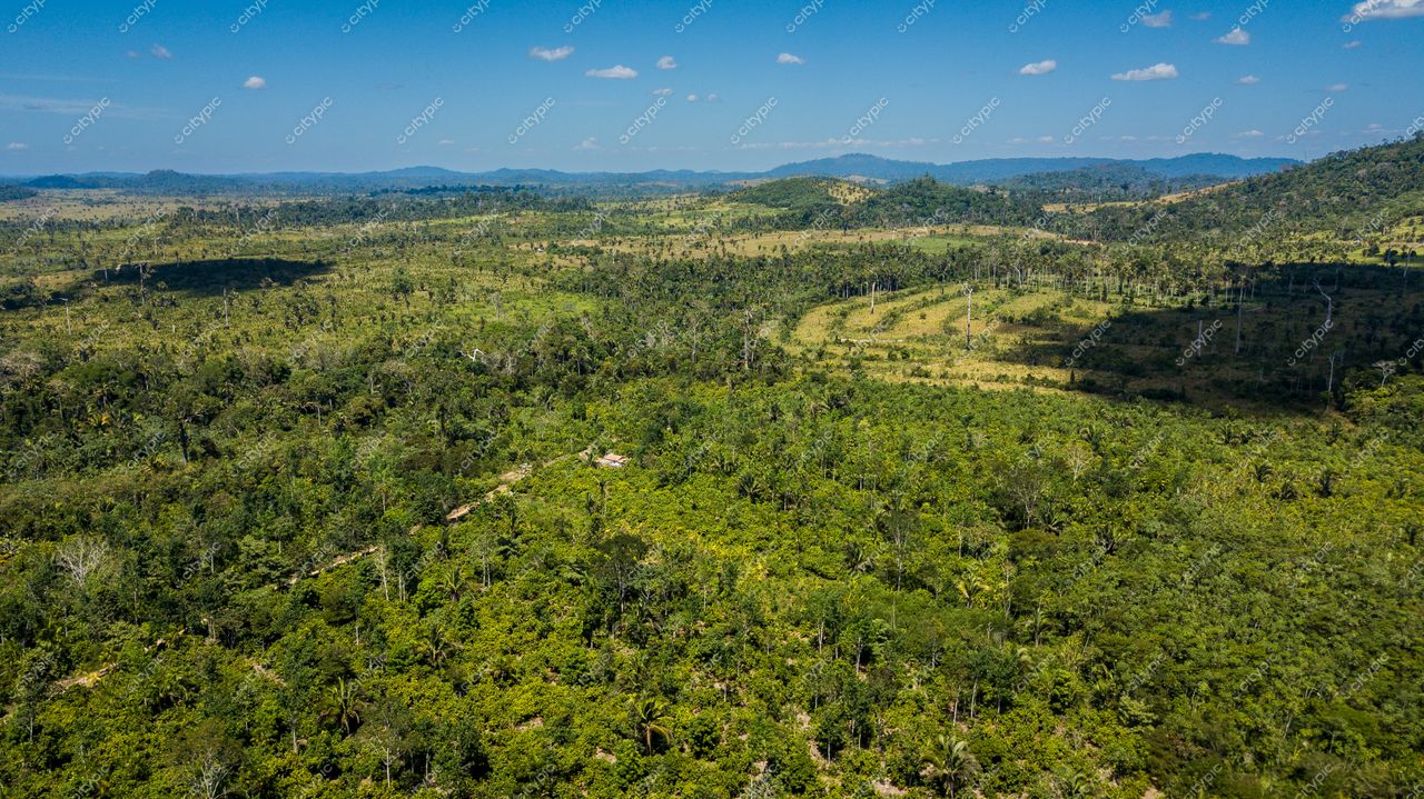 Novo Repartimento, Pará, Brasil: Beleza e Desafios da Amazônia