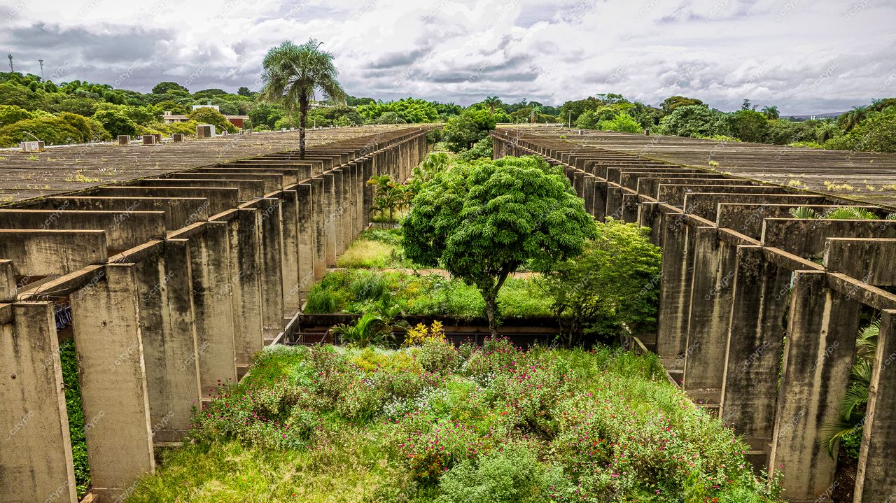 Brasília: O Abandono da Cidade – Natureza Reclamando seu Espaço