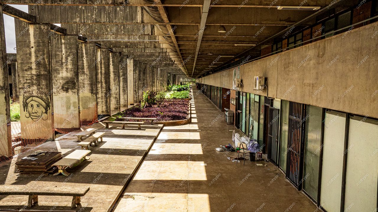 Brasília, DF: Corredor Abandonado e Criativo com Toque de Natureza
