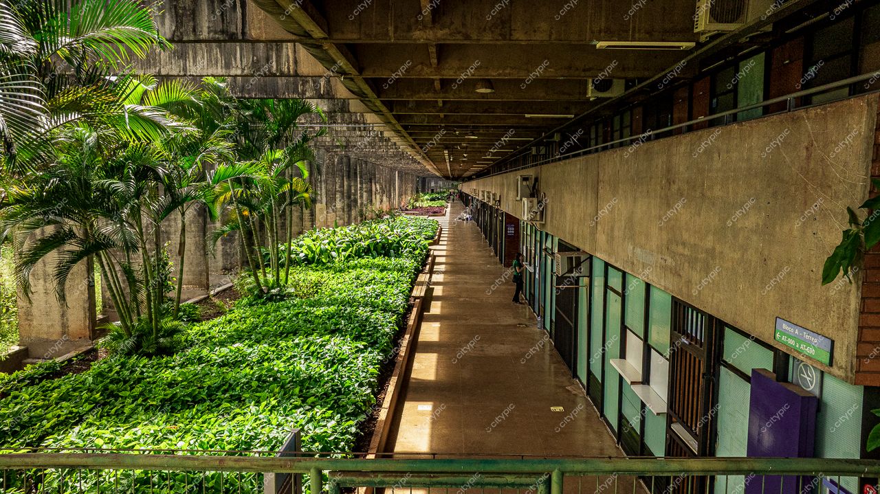 Brasília: Corredor de Edifício Harmonioso entre o Urbano e o Verde