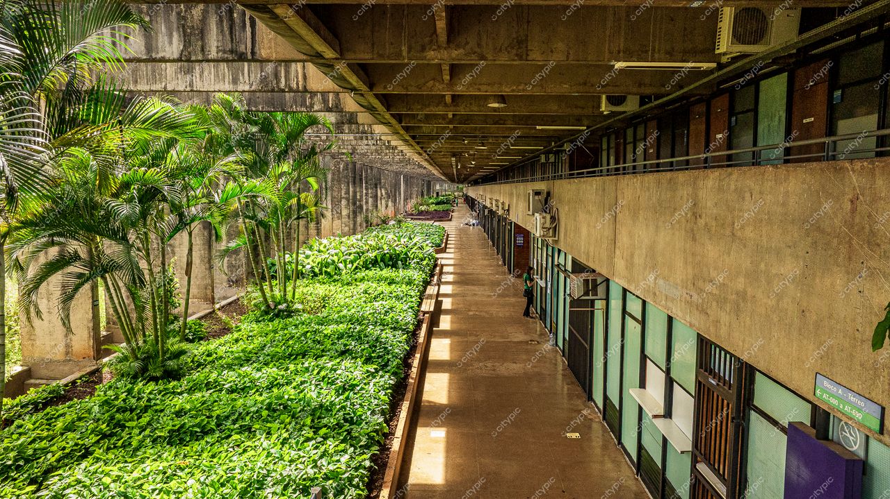 Brasília, DF: Corredor harmonioso entre natureza e urbanismo