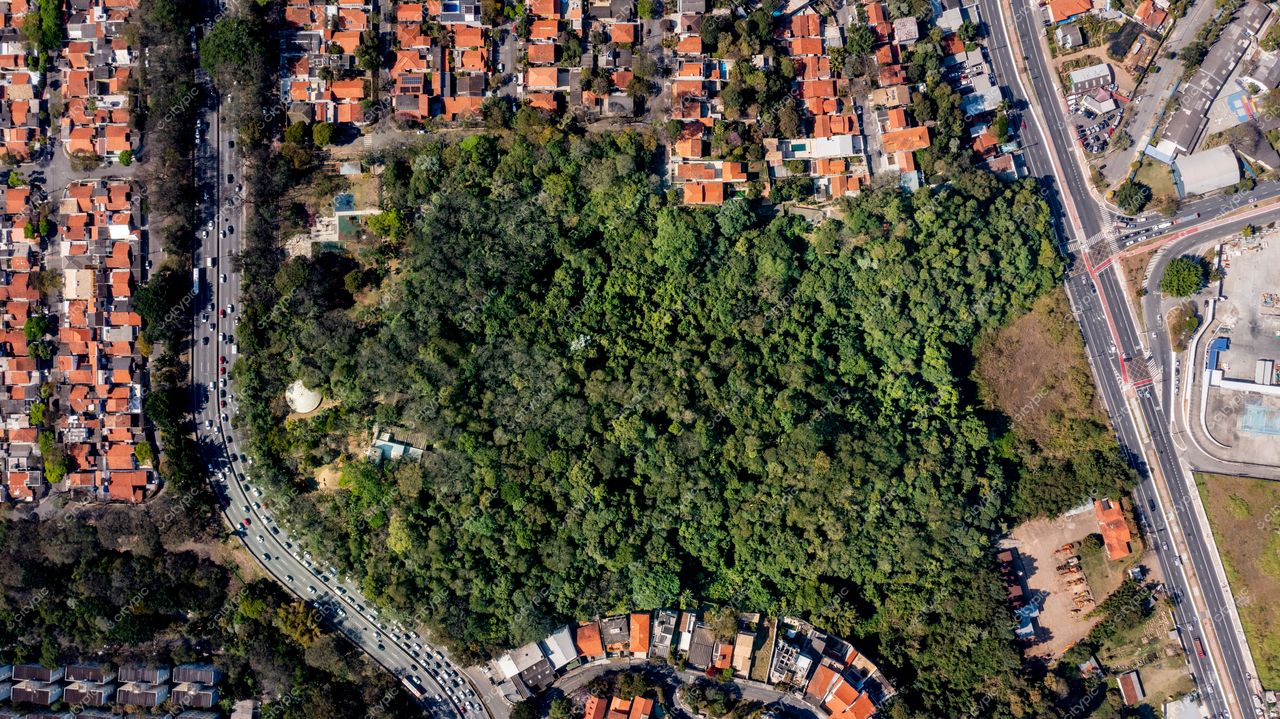 São Paulo, Brasil: Oásis verde em meio à selva de concreto