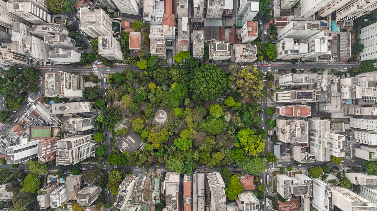São Paulo, Brasil: O contraste entre natureza e urbanização na metrópole paulista