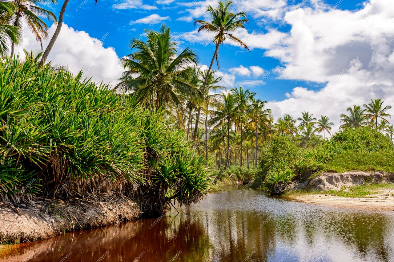 Uruçuca, Bahia: Cenário Tropical Exuberante de Beleza Natural e Tranquilidade