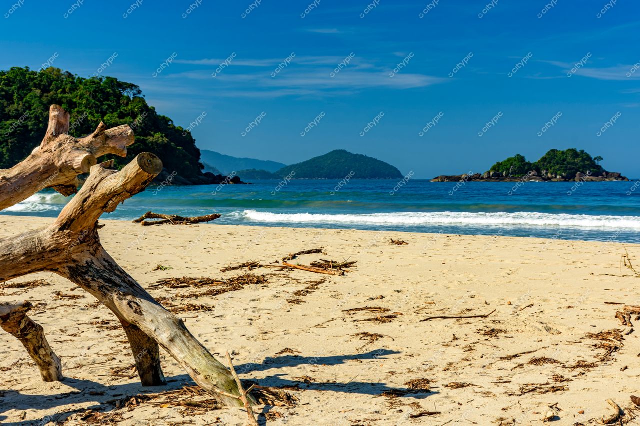 Praia do Tronco – Ilhabela, São Paulo: Um Paraíso Sereno e Conectado com a Natureza