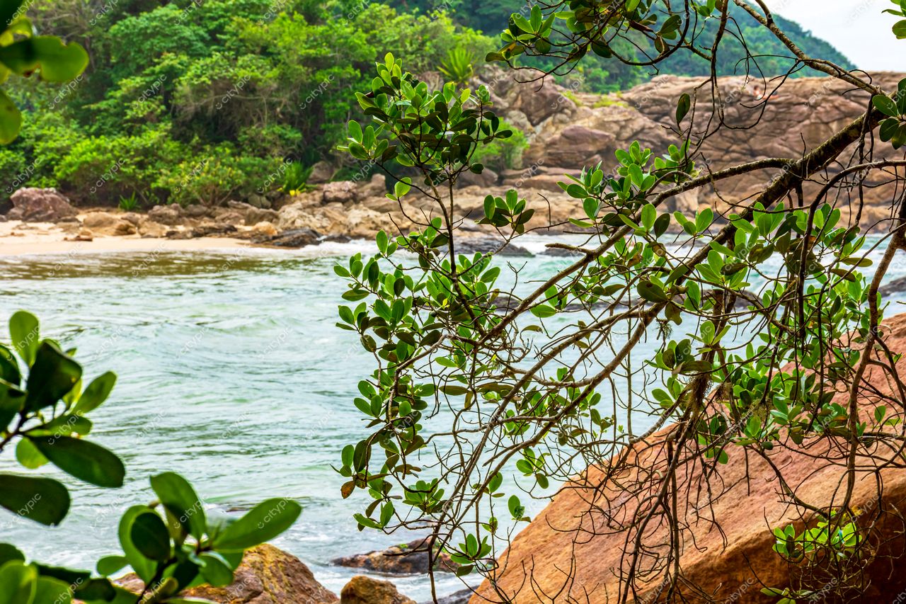 Trindade, Paraty, Rio de Janeiro: Cena Natural Exuberante à Beira-Mar