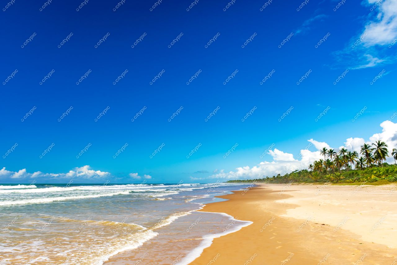 Uruçuca, Bahia: Praia paradisíaca com areias douradas e mar calmo