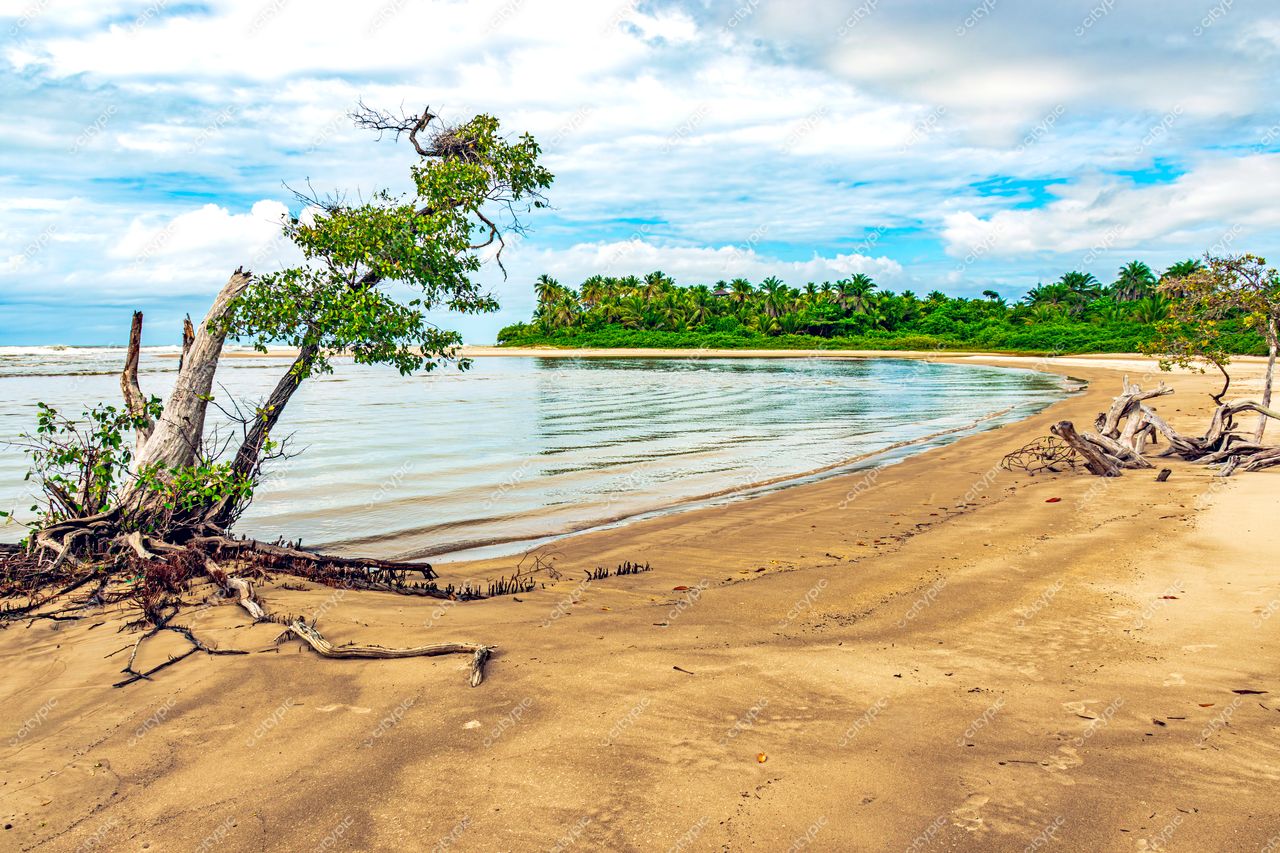 Uruçuca, Bahia: A serenidade da costa dourada