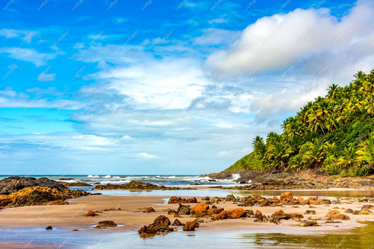 Uruçuca, Bahia: Praia paradisíaca com areias douradas e vegetação exuberante