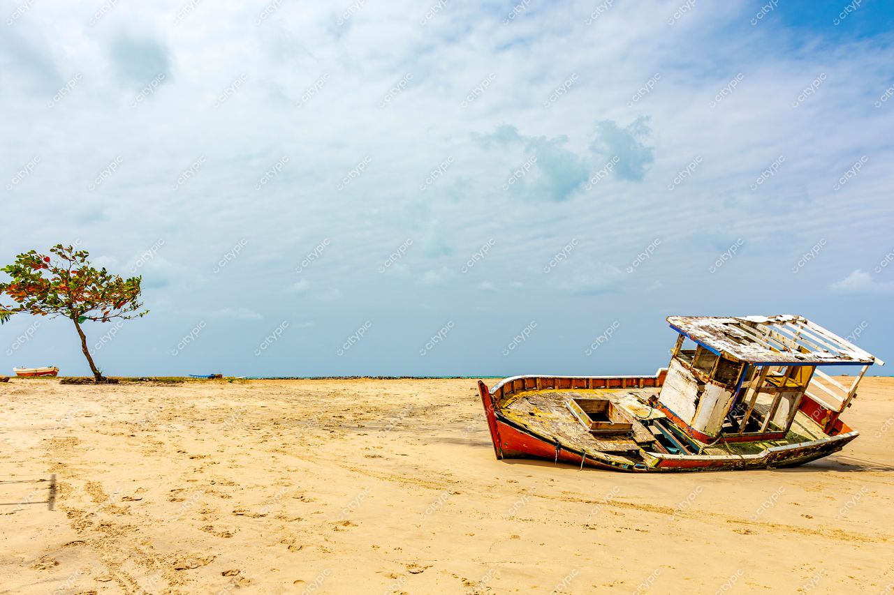 Praia de Olinda: Barco Abandonado e Árvore Solitária – Reflexões sobre a Beleza e o Abandono na Costa