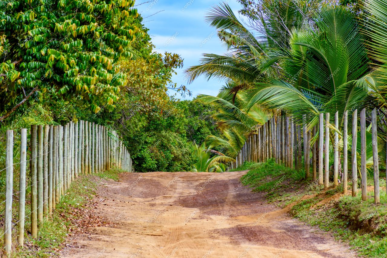 Uruçuca, Bahia: Estrada de Terra Cercada por Vegetação Tropical