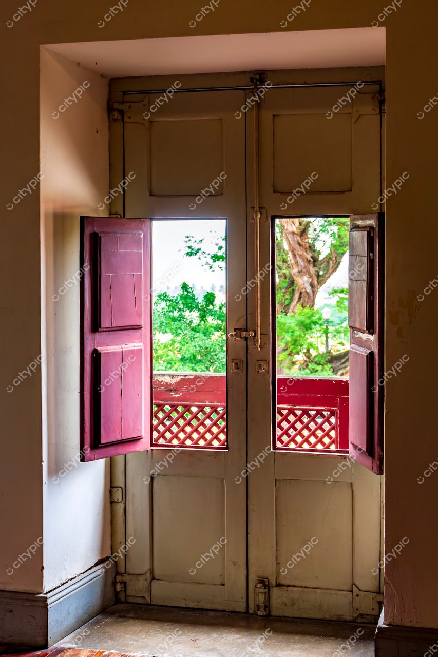 Porta de Madeira com Folhas Vermelhas Abertas em Olinda, Pernambuco: Conexão com a Natureza no Interior da Cidade