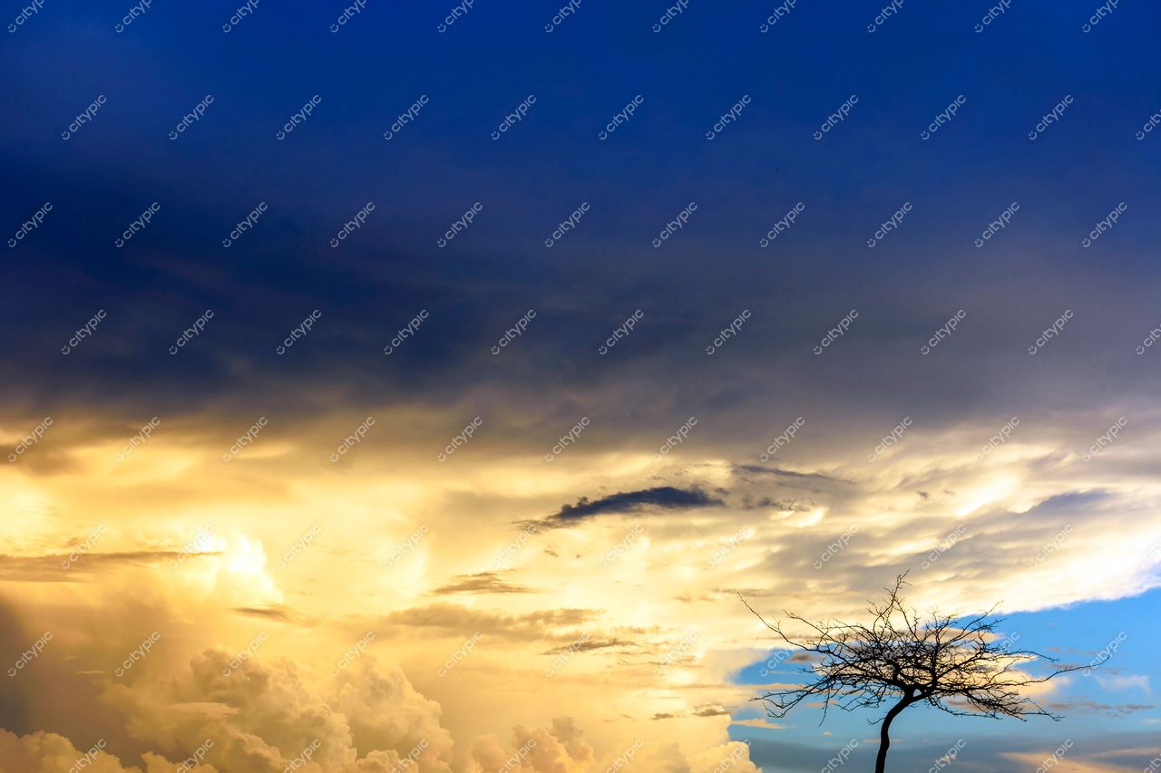 Céu Dramático e Árvore Solitária: Belo Horizonte, Minas Gerais, Brasil